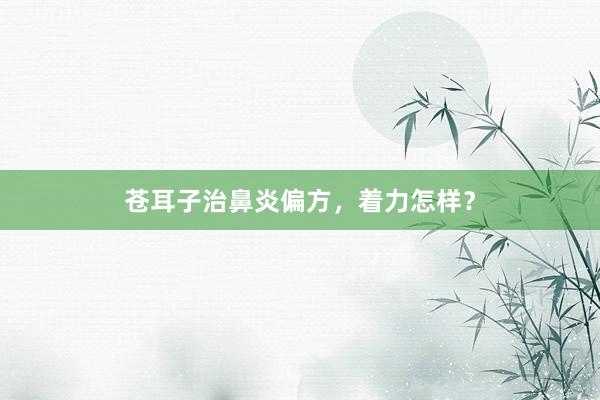 苍耳子治鼻炎偏方，着力怎样？